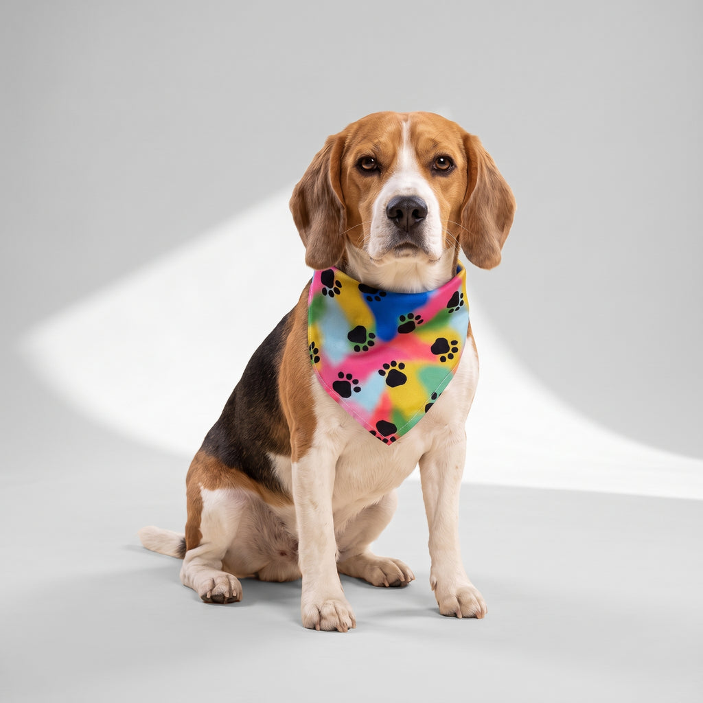 Dog Bandana with a beagle, studio photo