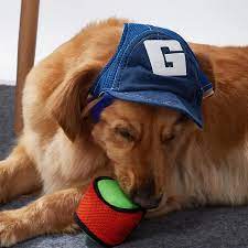 Dog Baseball Cap
