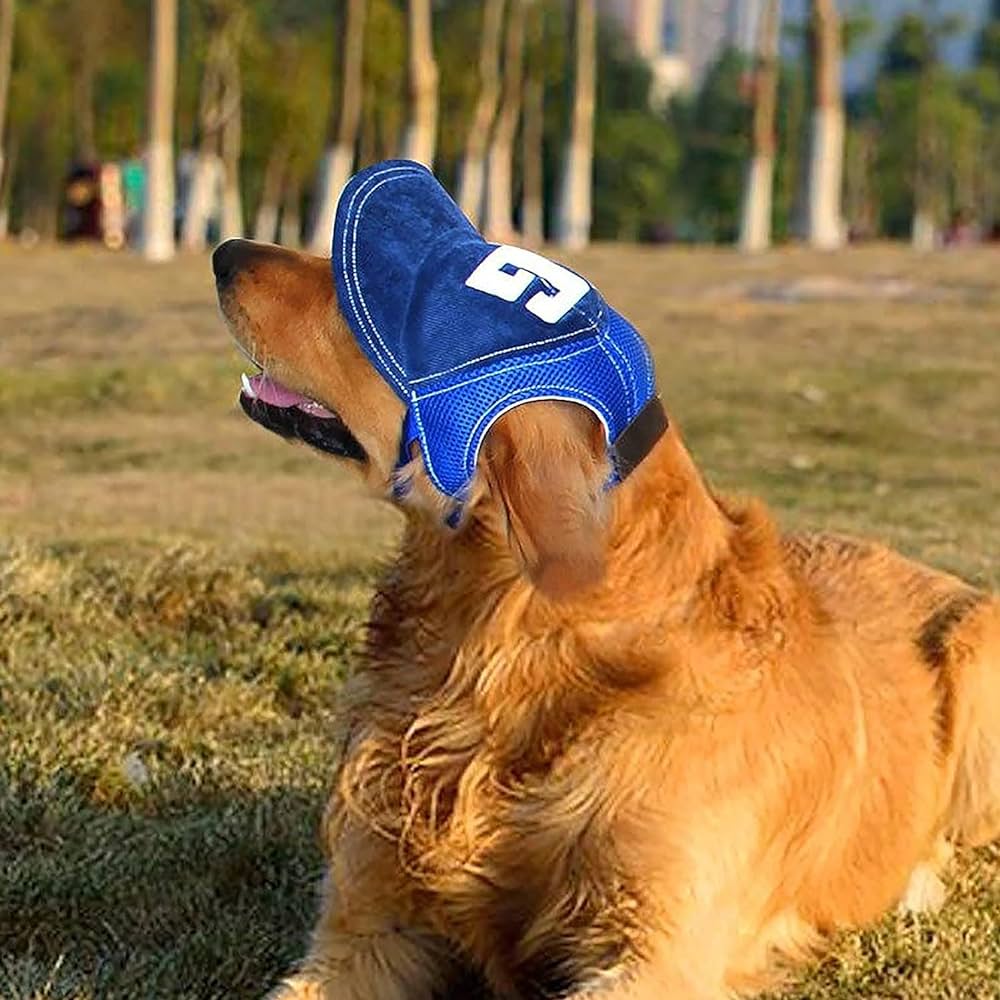 Dog Baseball Cap