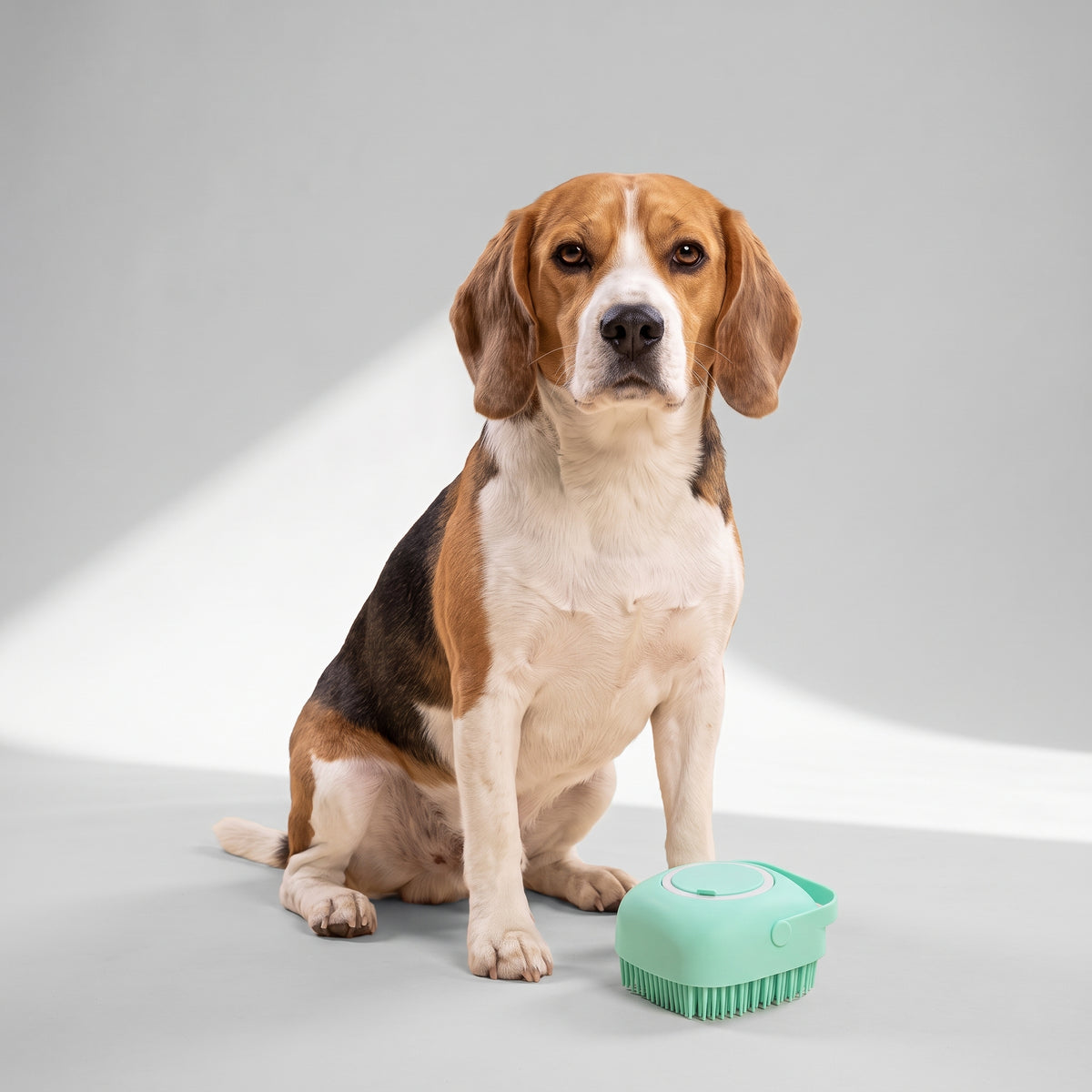 Dog Bath Brush with a beagle, studio photo