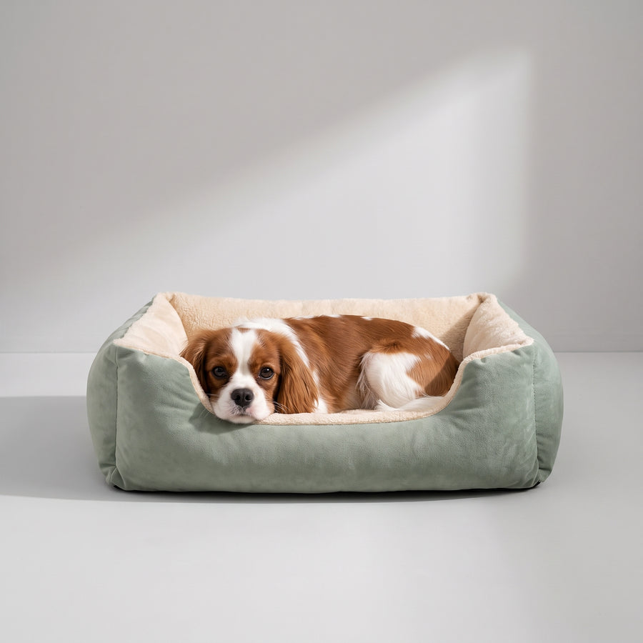 Material: Made from 100% Cotton, this Puppy Dog Bed is soft and cozy, providing the ultimate comfort for your furry friend.