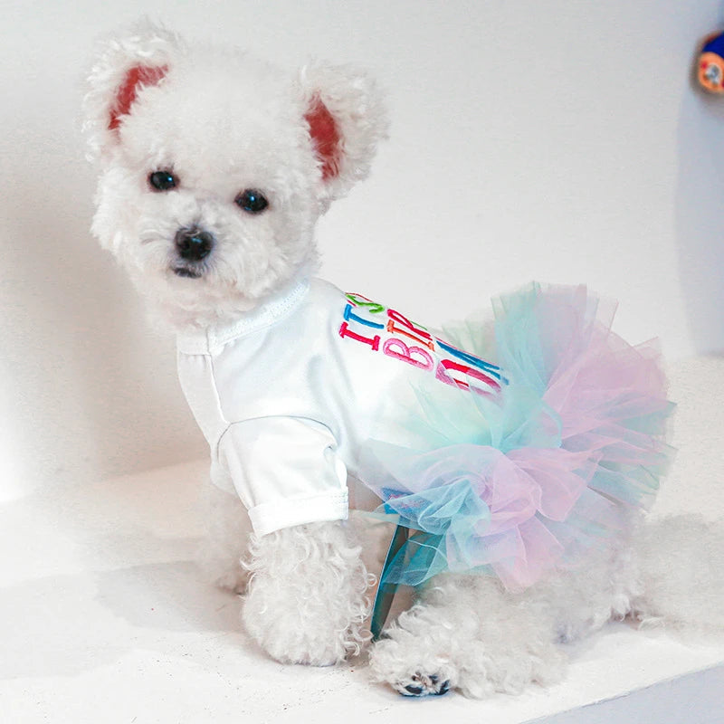 Dog Birthday Dress