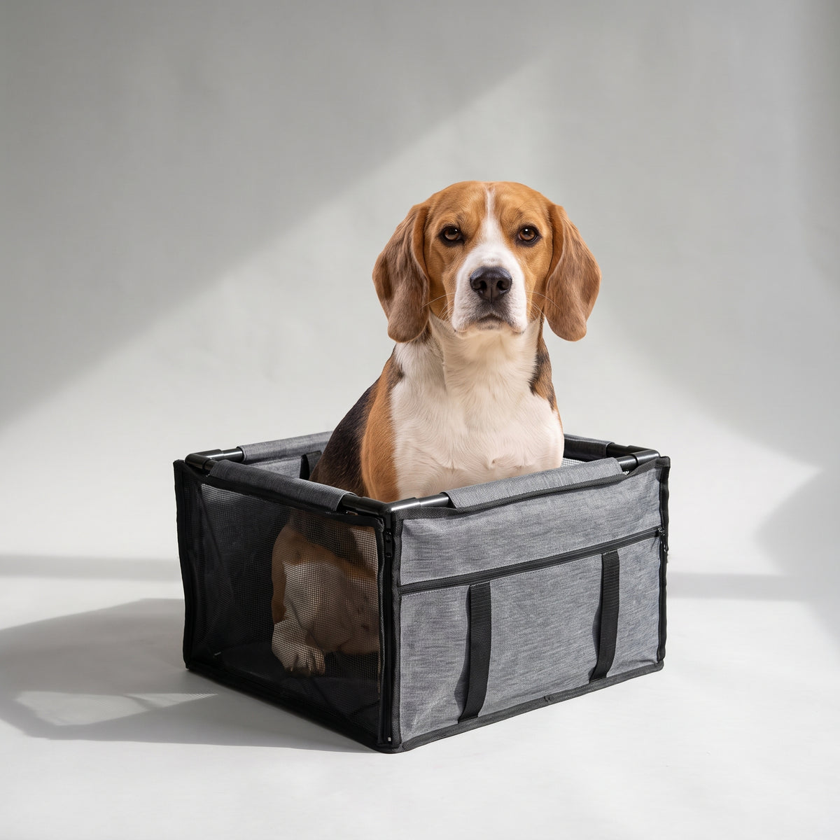 Dog Car Booster Seat with a beagle, studio photo