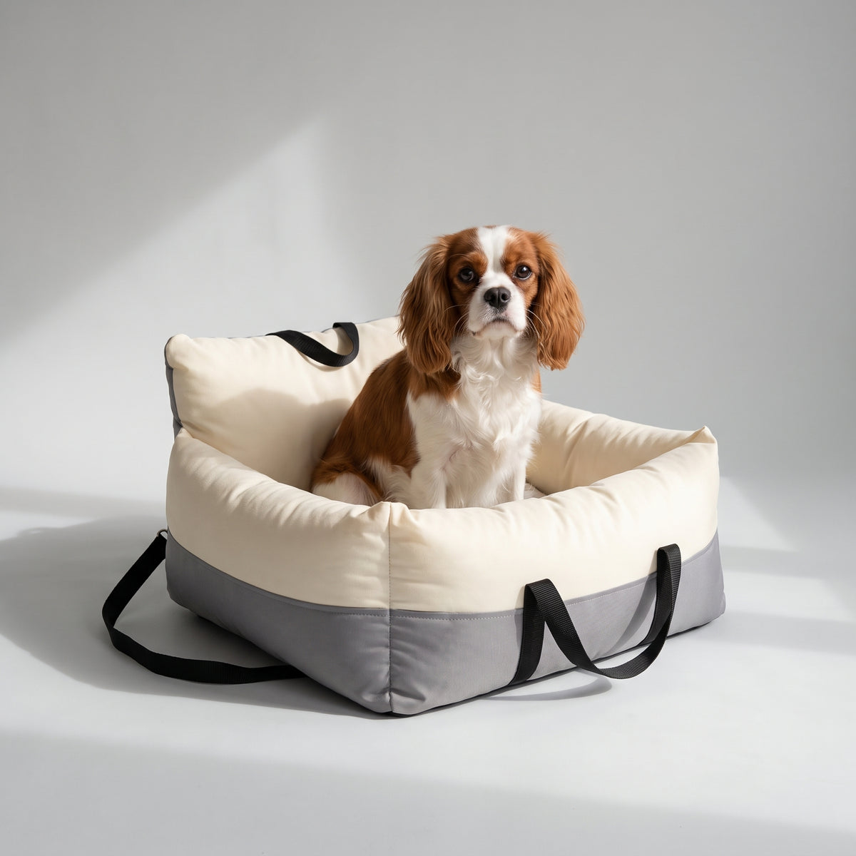 Dog Car Seat Bed for Small Dogs, Cushioned with a Cavalier King Charles, studio photo