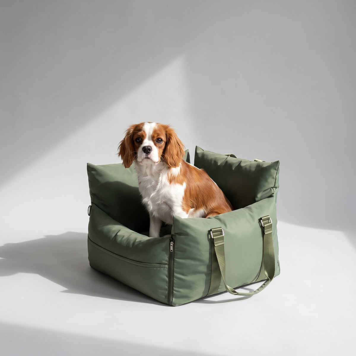 Dog Car Seats with a Cavalier King Charles, studio photo