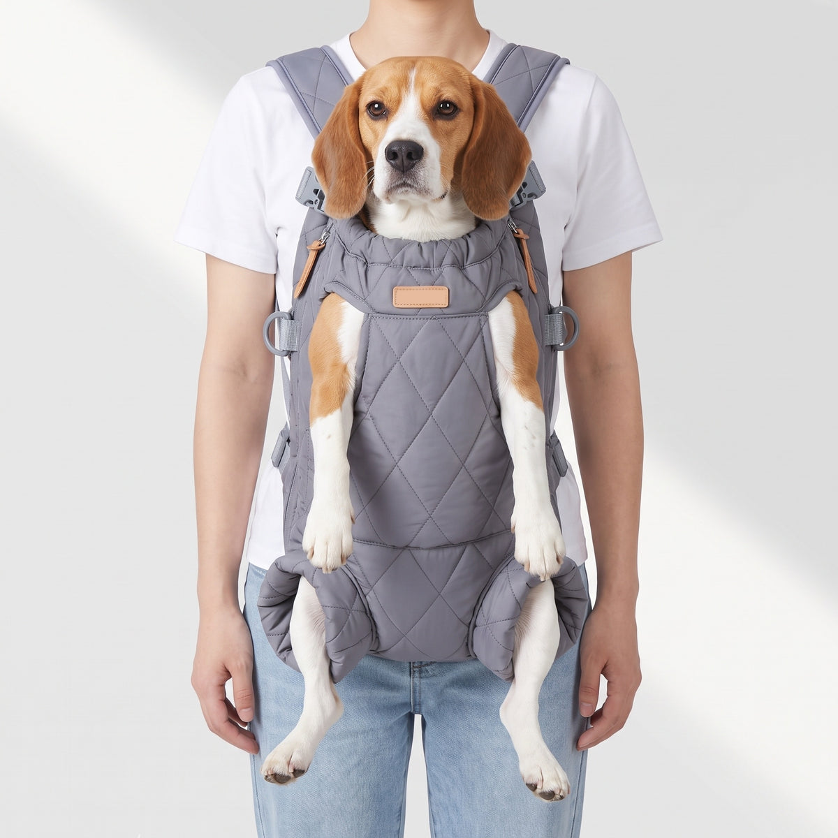 Dog Carrier Backpacks with a Beagle, studio photo