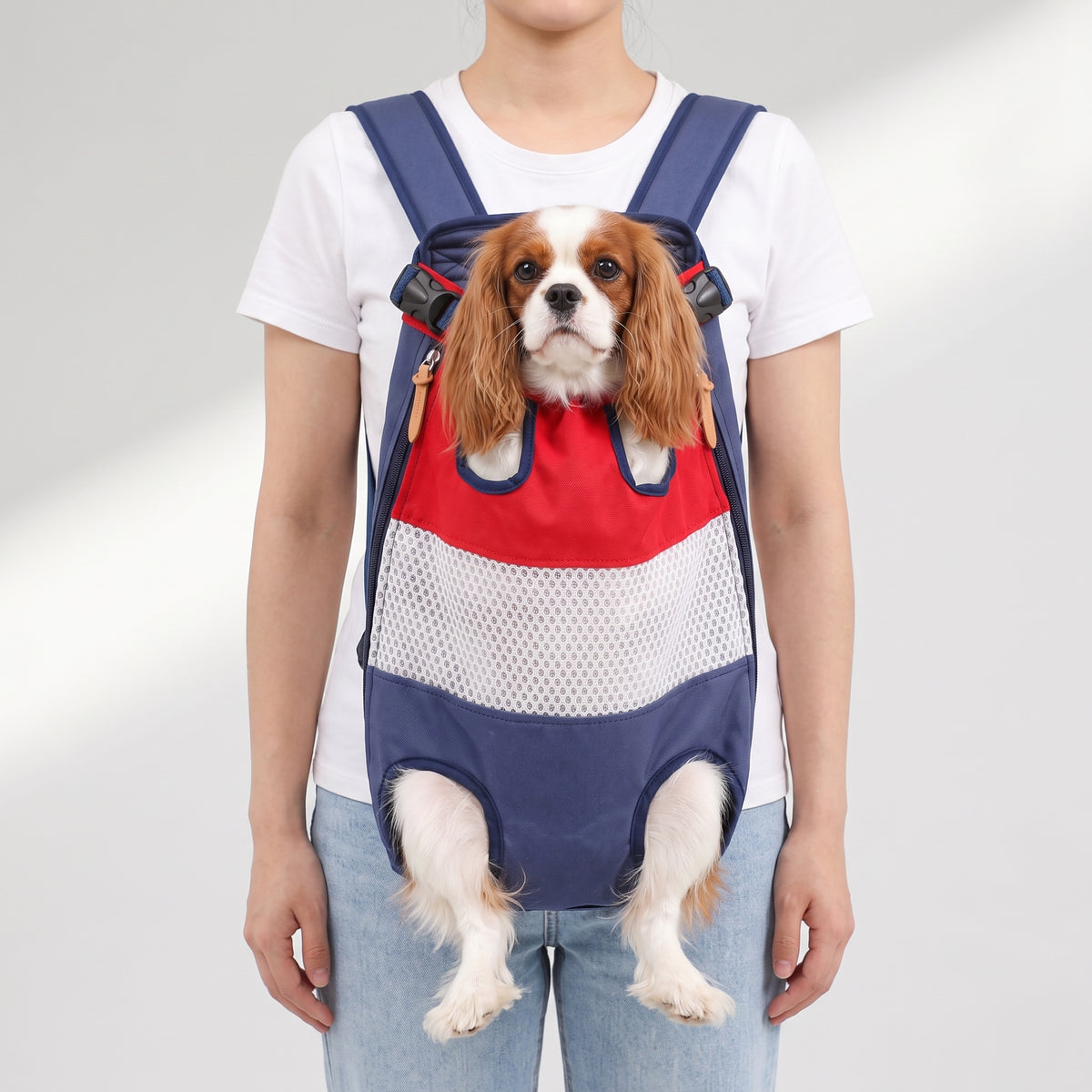 Dog Carry Backpack with a Cavalier King Charles, studio photo
