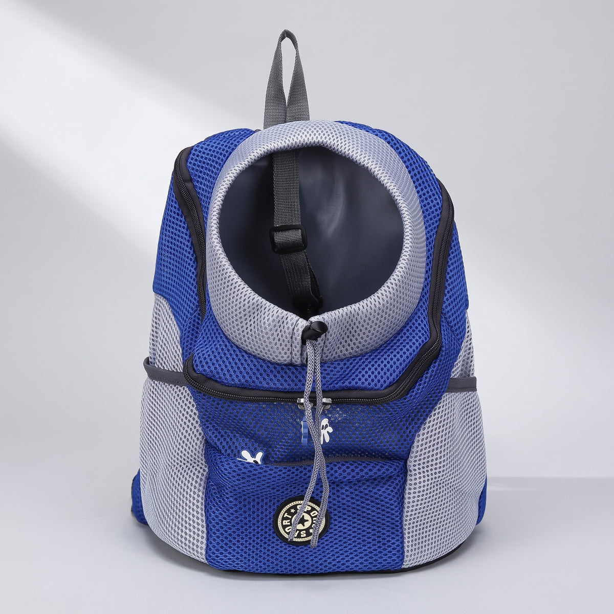 Dog Carrying Backpack, studio photo on a light grey background