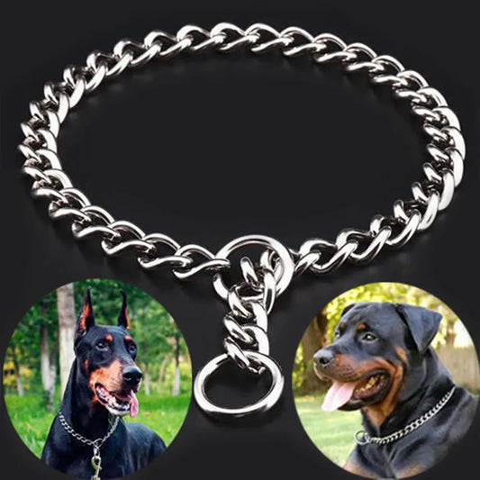 Dog Chain Collar