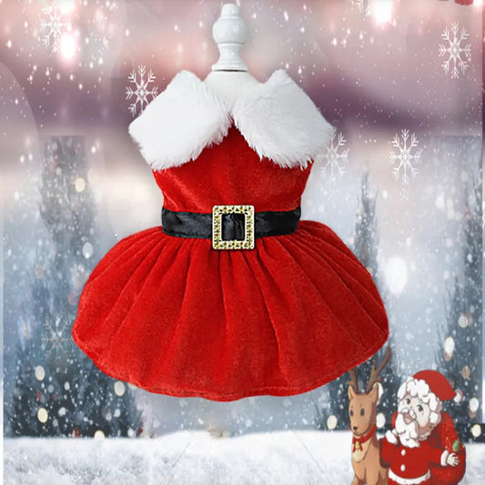 Dog Christmas Dress