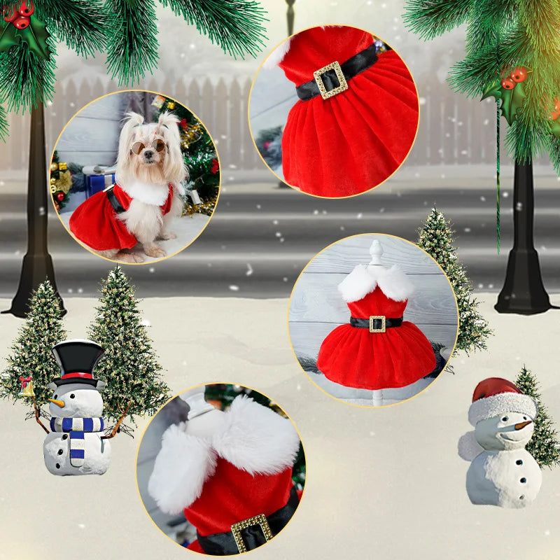 Dog Christmas Dress