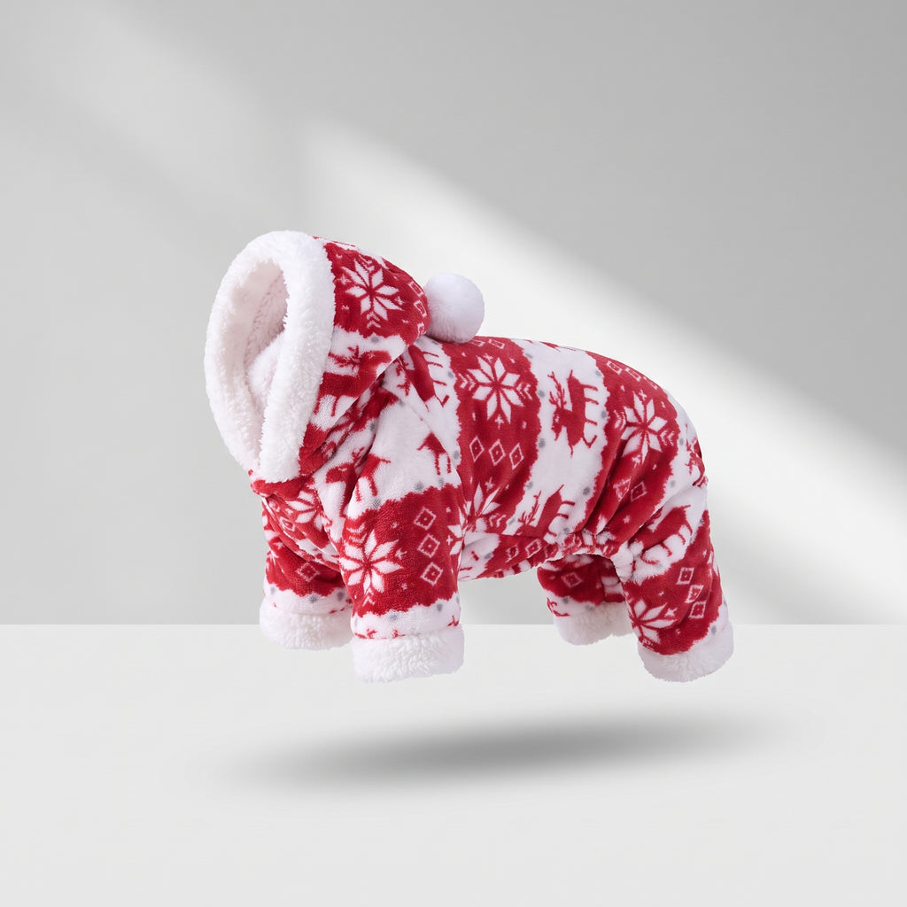 Dog Christmas Pajamas, studio photo on a light grey background