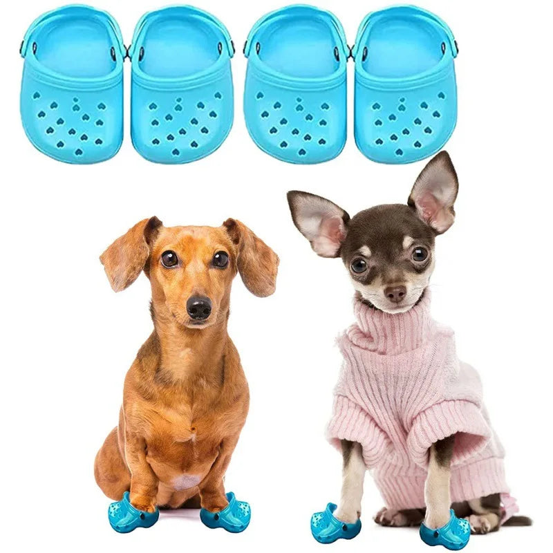 Dog Crocs Shoes