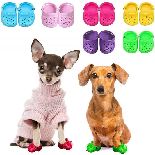 Dog Crocs Shoes