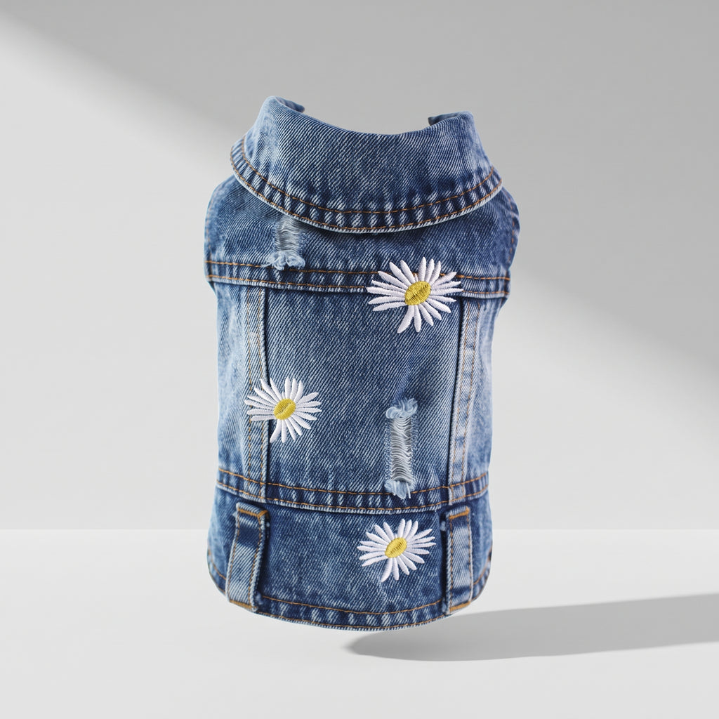 Dog Denim Jacket, studio photo on a light grey background