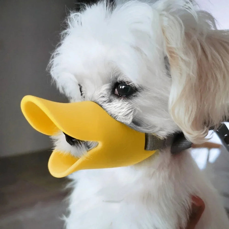 Advanced silicone material: The muzzle is made of light, soft, and elastic silicone, ensuring your dog's comfort and health. It is also odorless, providing a pleasant experience for your pet.