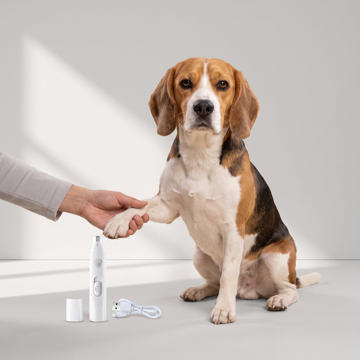 Dog Electric Nail Grinder in White or Green with a beagle, studio photo