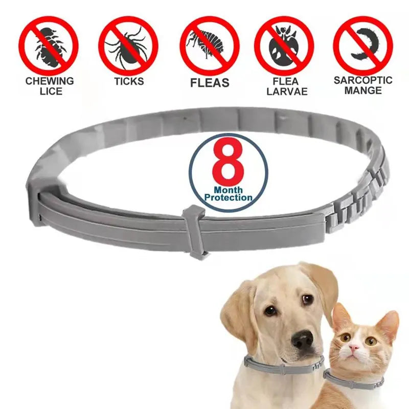 Dog Flea and Tick Collar