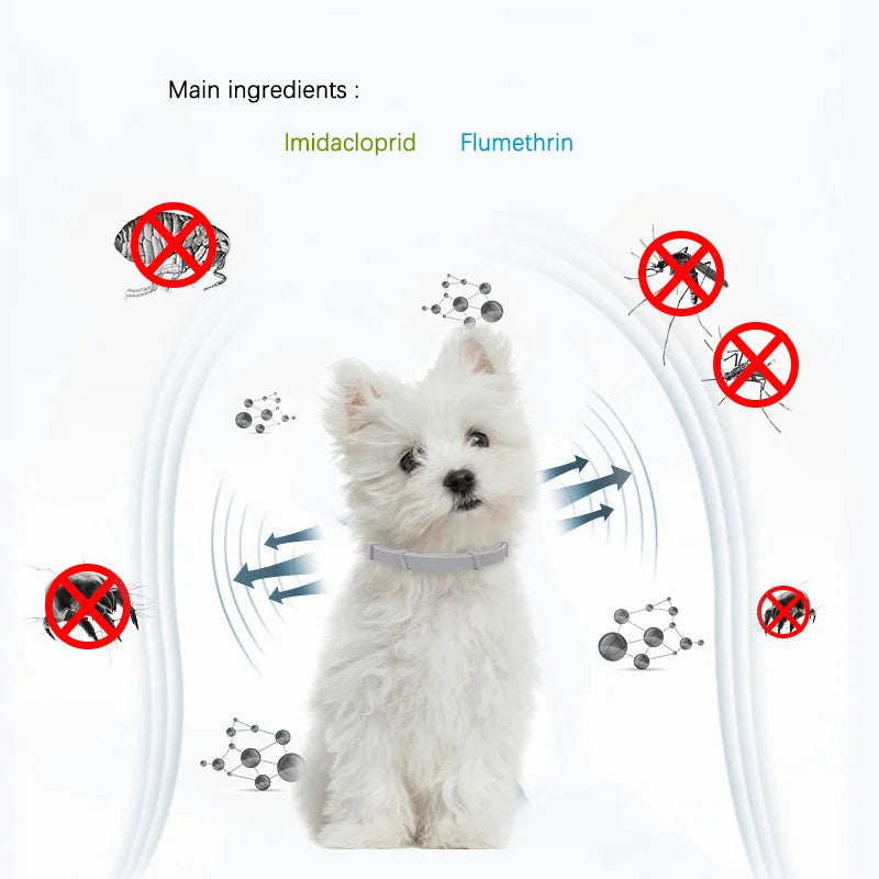 Dog Flea and Tick Collar