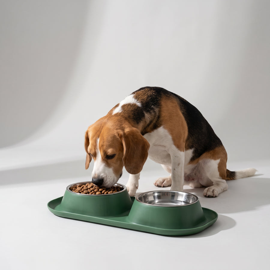 Made from durable plastic and stainless steel materials for long-lasting use
