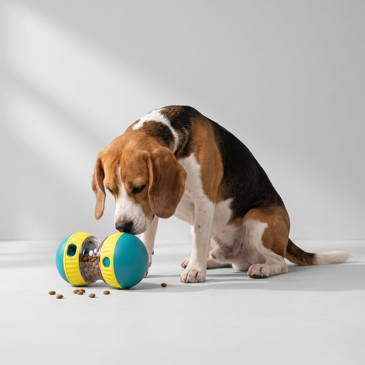 Dog Food Dispensing Toy with a beagle, studio photo