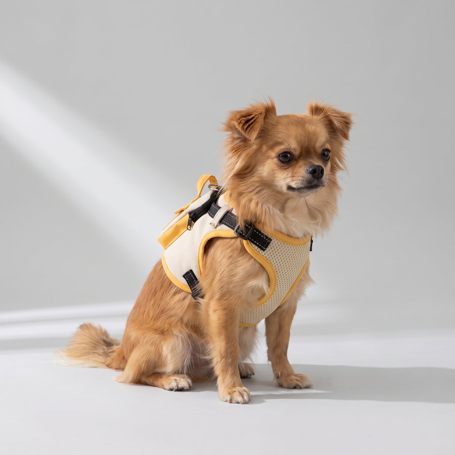 Adjustable straps for perfect fit