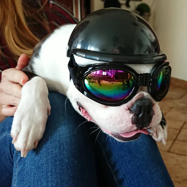 Dog Helmet for Motorcycle