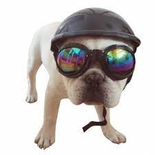 Dog Helmet for Motorcycle