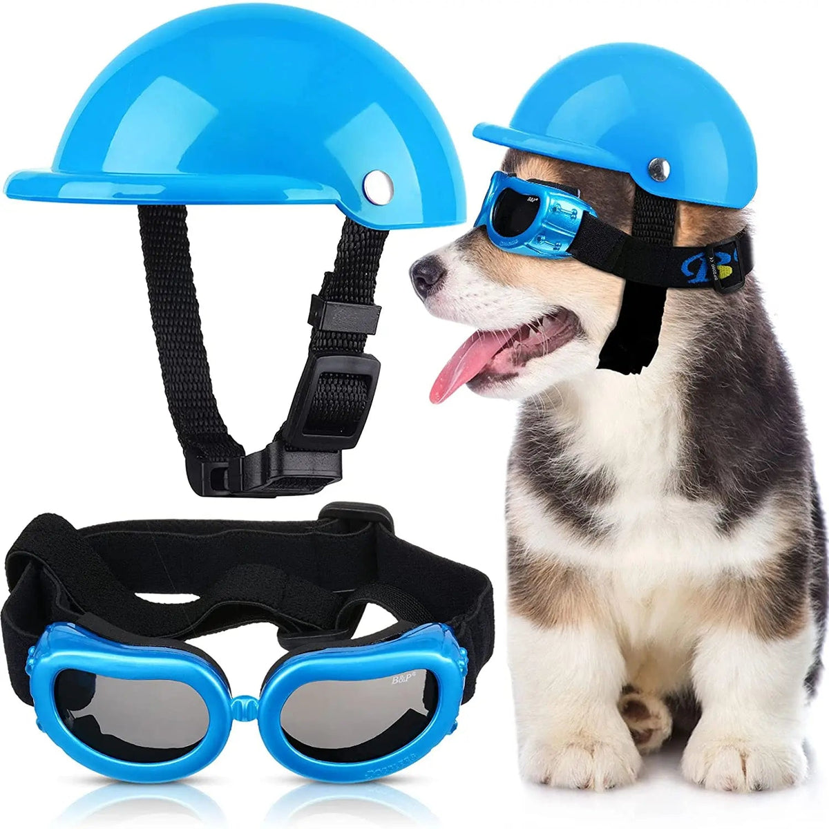 Dog Helmet With Glass in Blue