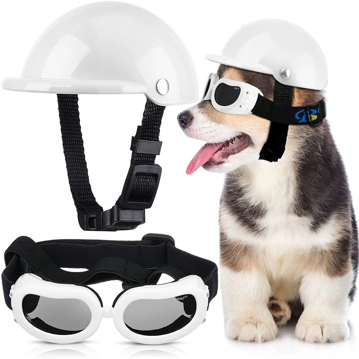 Dog Helmet With Glass in White