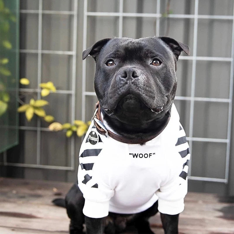 Dog Hoodie｜Hayden®