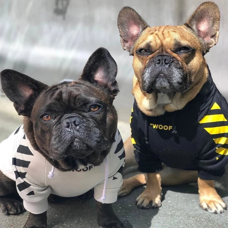 Dog Hoodie｜Hayden®