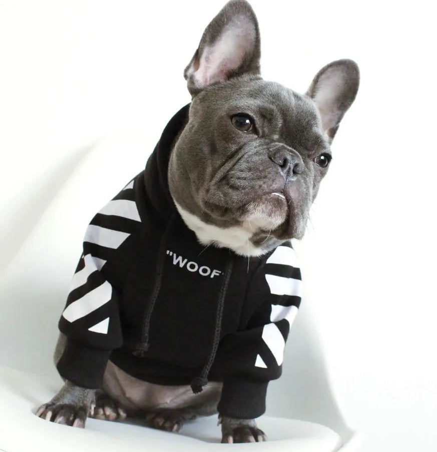 Dog Hoodie｜Hayden® in Black