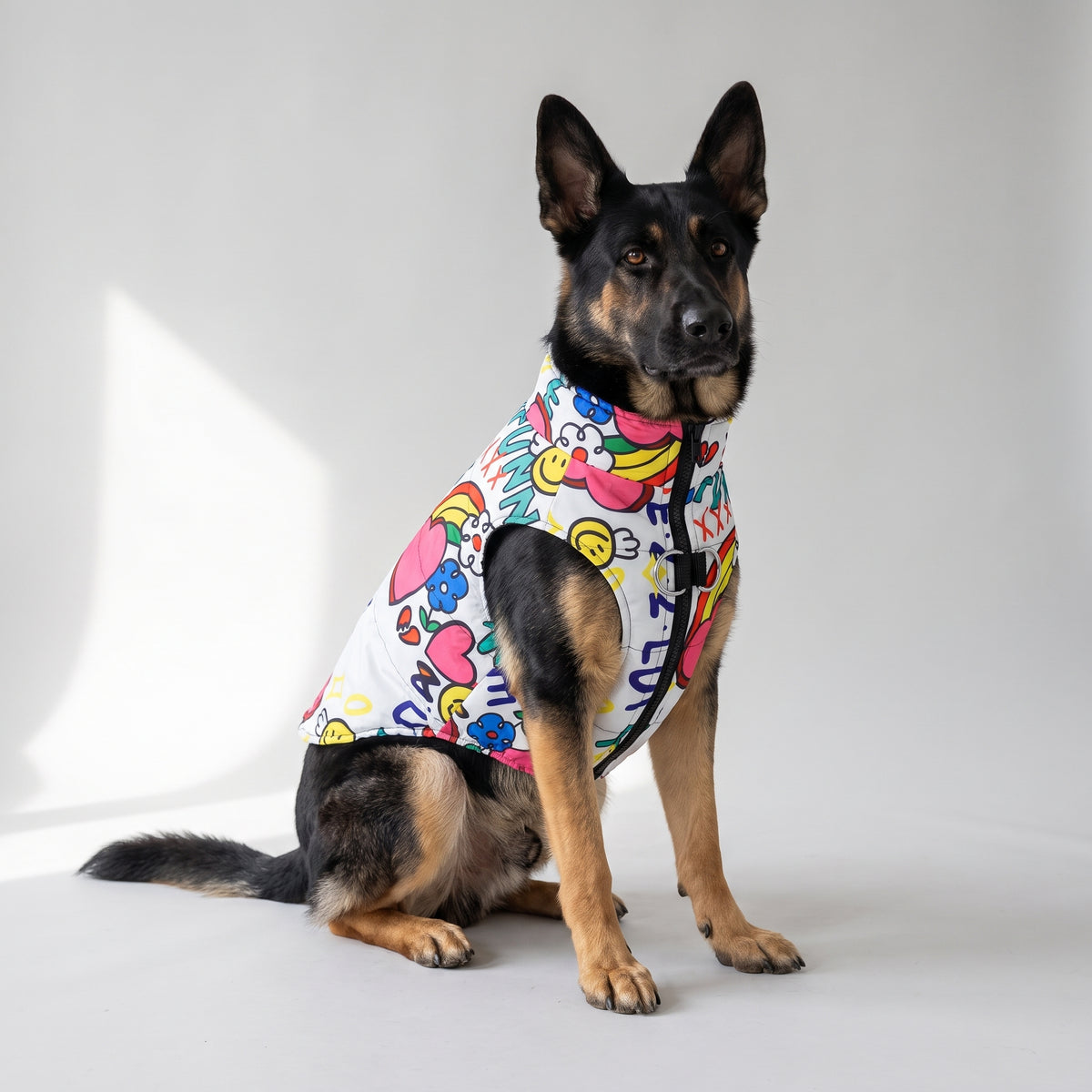 Waterproof Dog Jacket in Sizes S to 5XL with a German Shepherd, studio photo