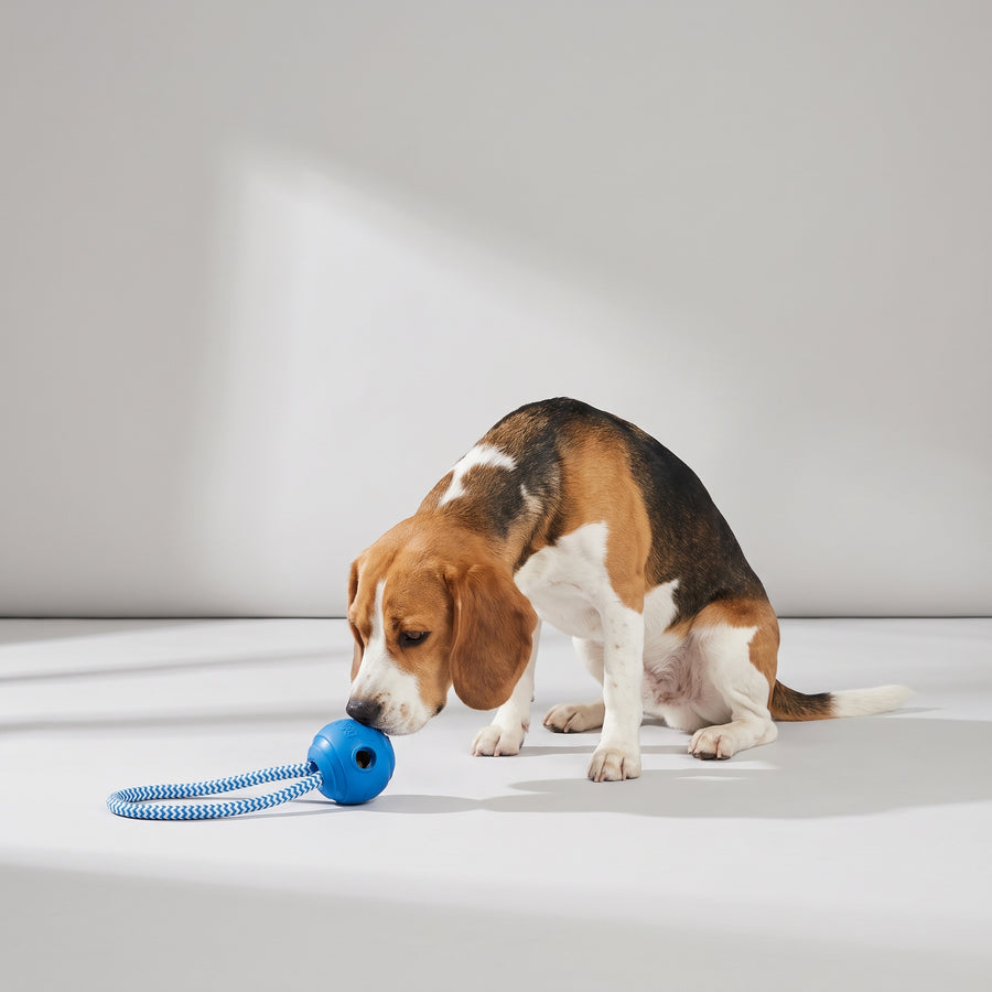 Toys Type: Ropes