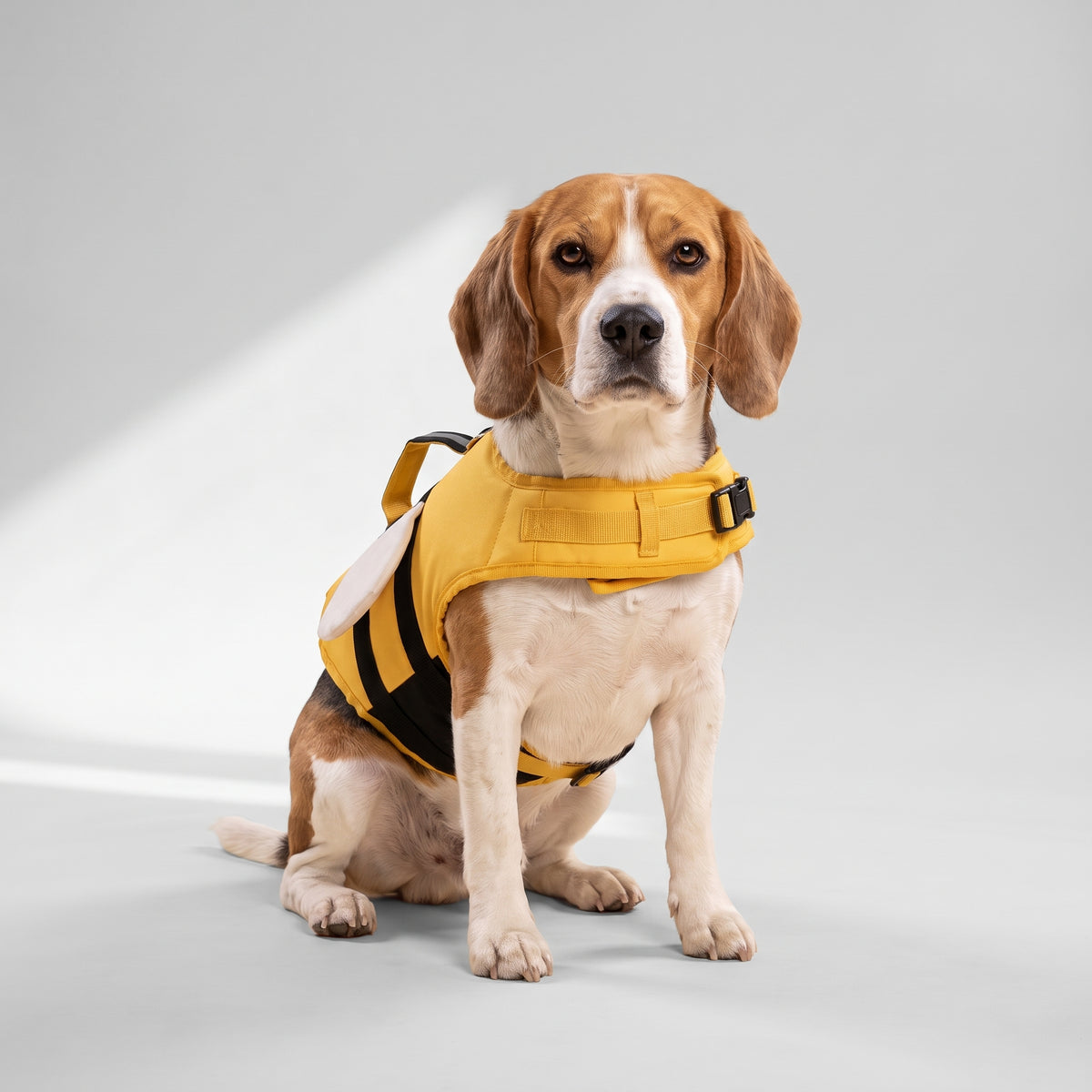 Dog Life Jacket Vest with a beagle, studio photo