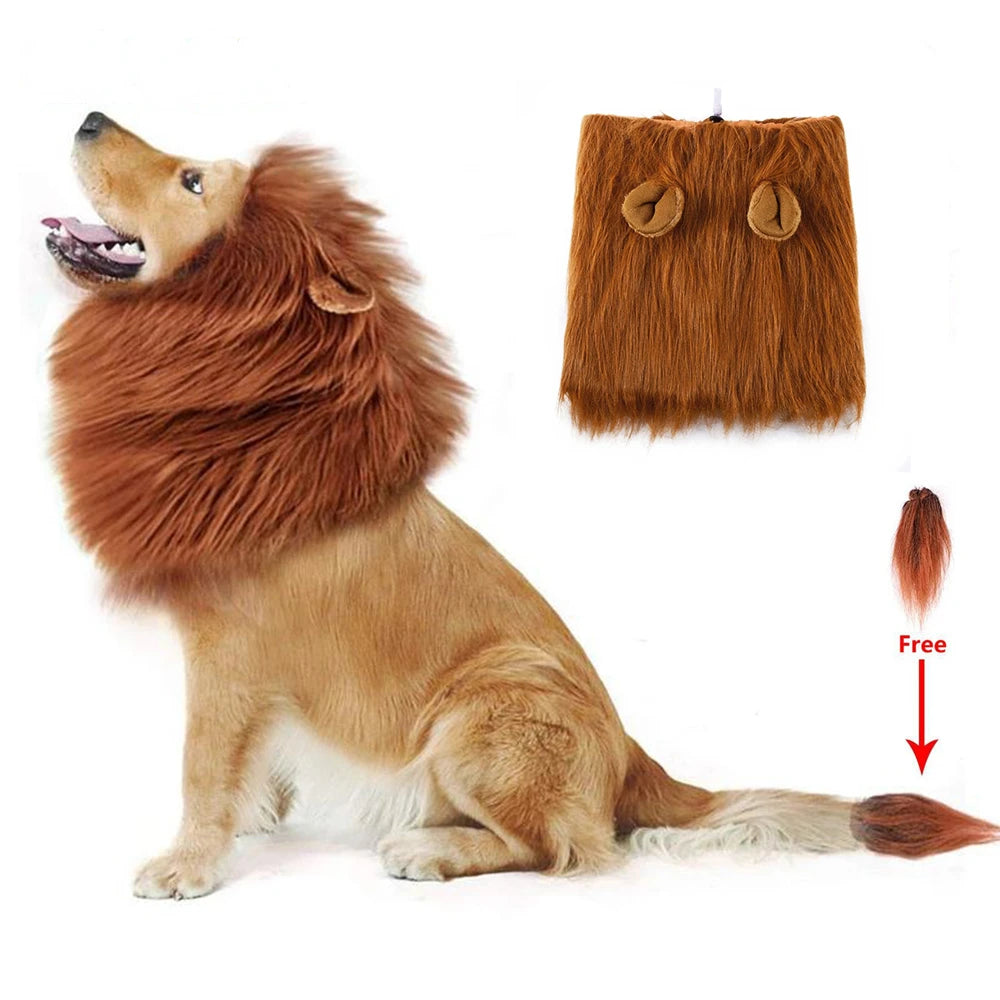 Dog Lion Costume