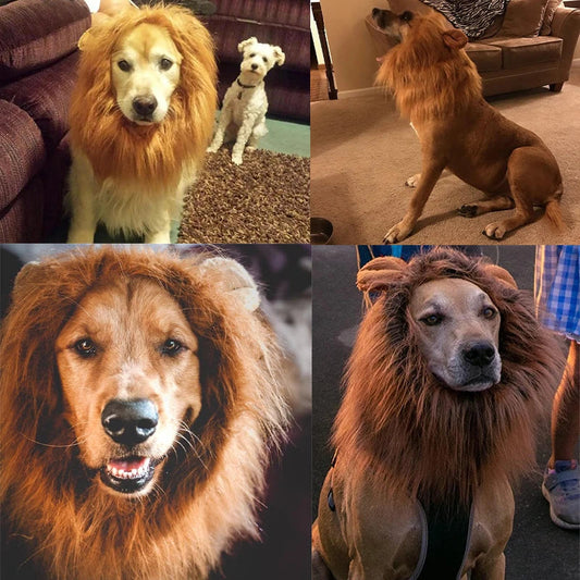 Dog Lion Costume