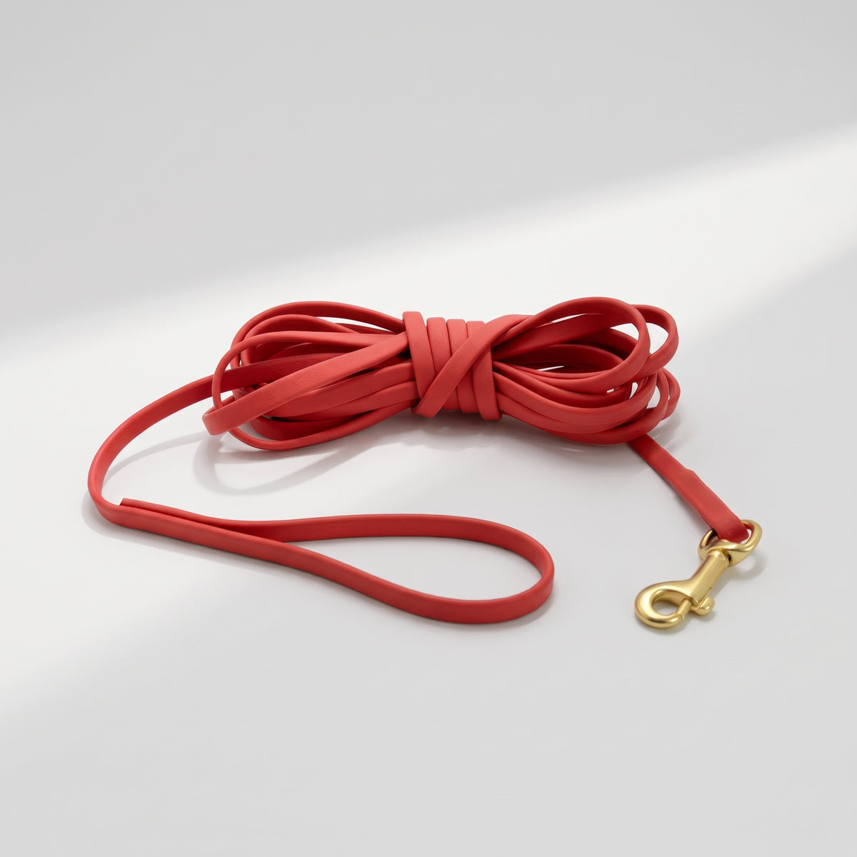 Waterproof Long Training Leash for Dogs, studio photo on a light grey background