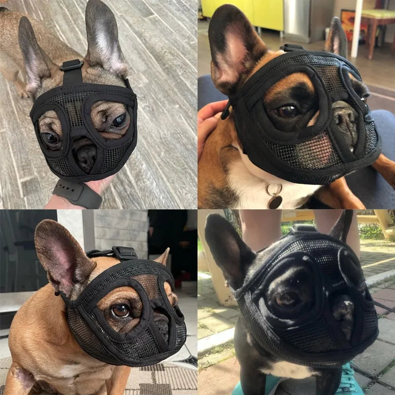 Dog Muzzle for French Bulldog
