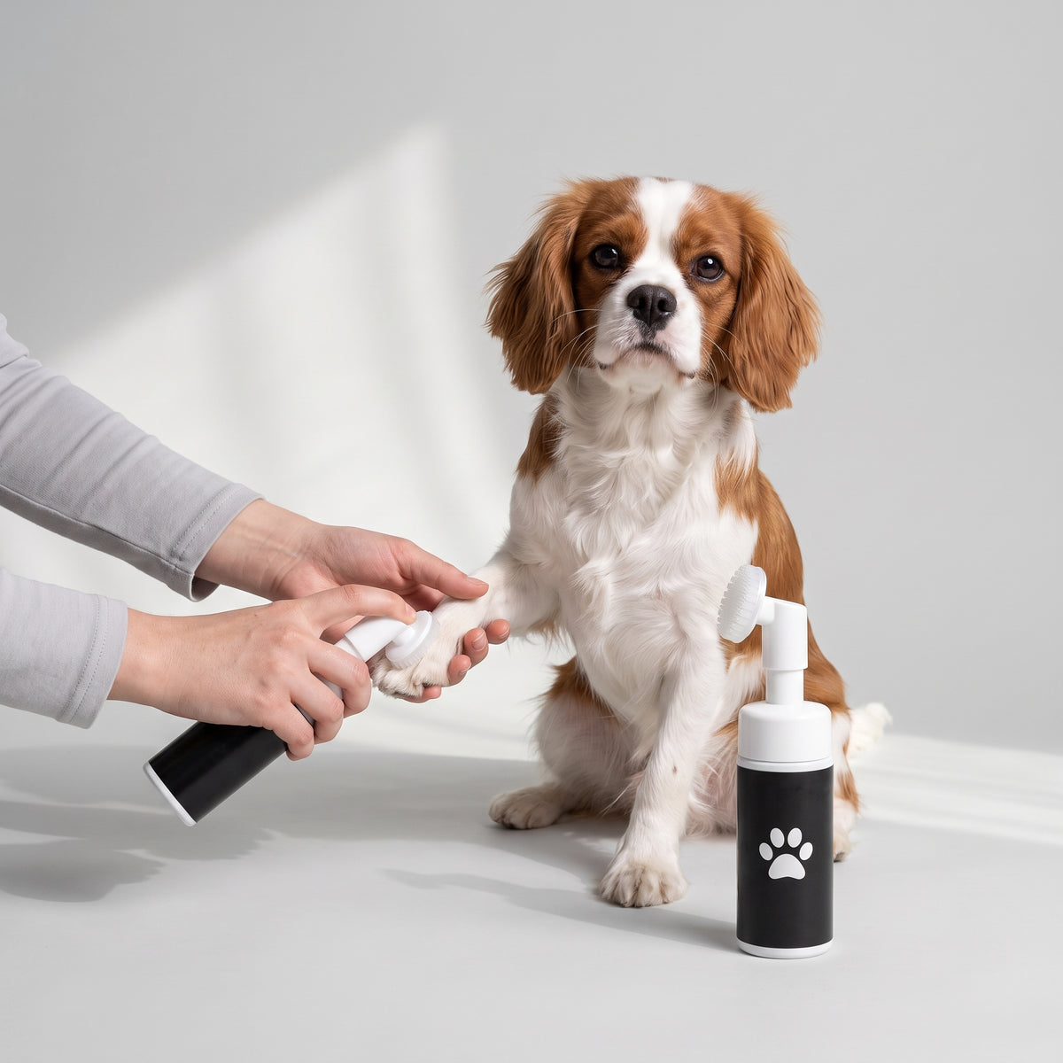 Dog Paw Cleaner Foam with a Cavalier King Charles, studio photo