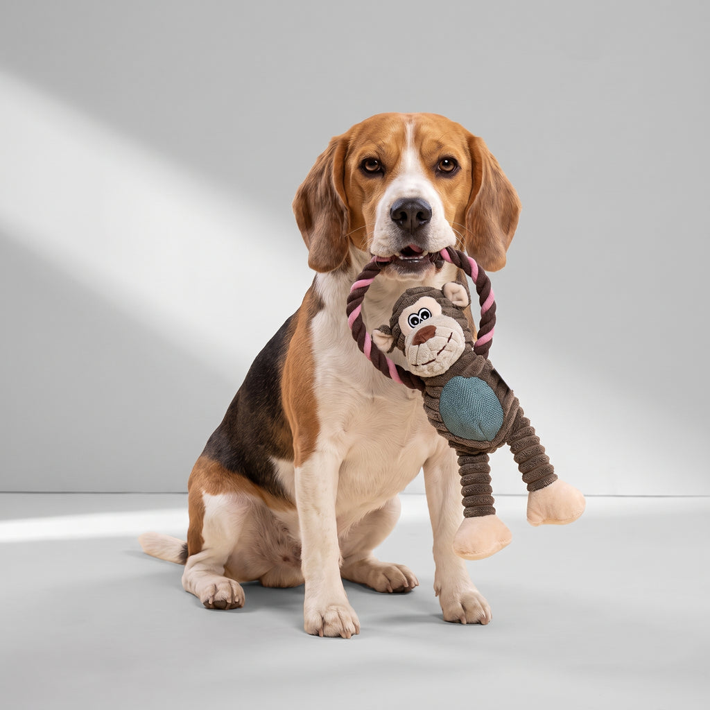 Squeaky Plush Dog Toy, Lion, Elephant, Monkey with a beagle, studio photo