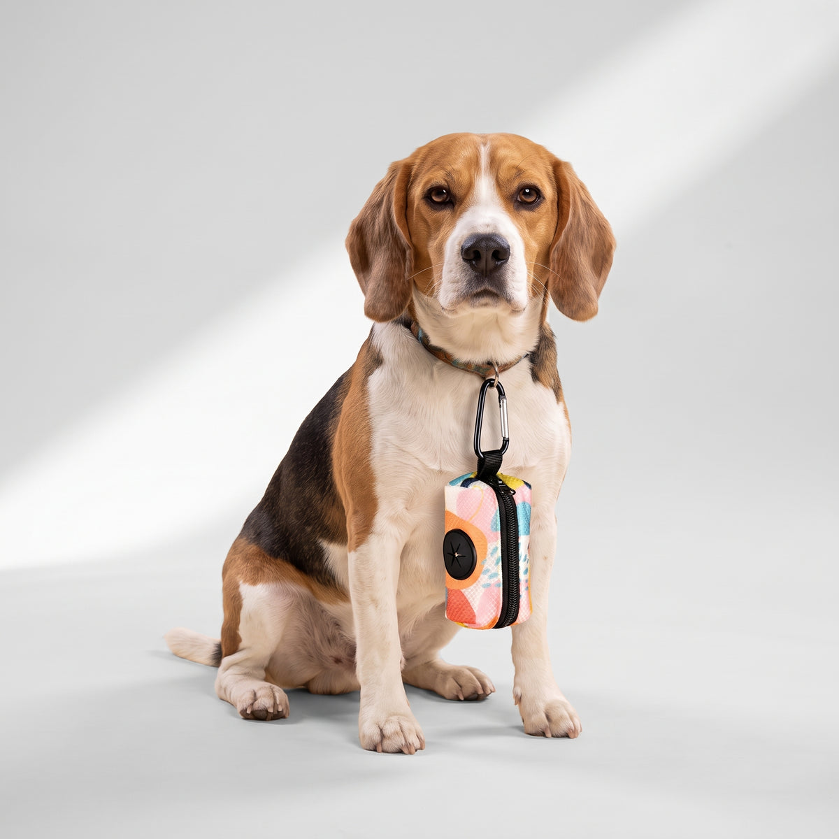 Dog Poop Bag Dispenser with a beagle, studio photo