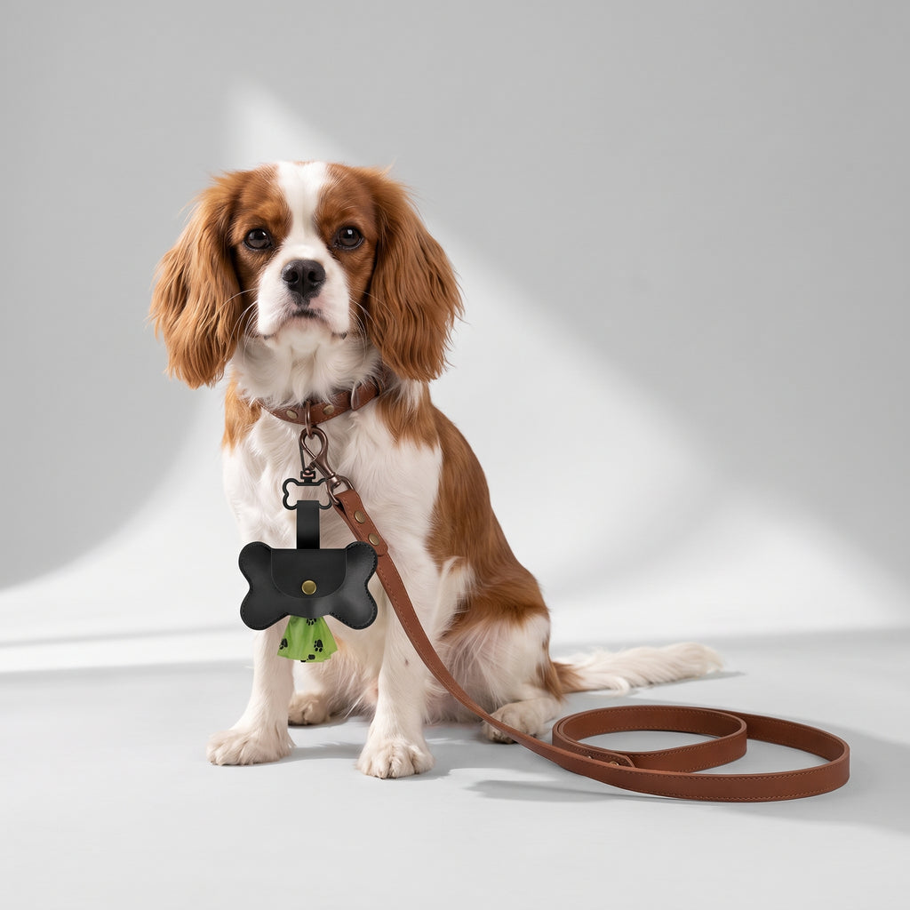 Dog Poop Bag Holder For Leash with a Cavalier King Charles, studio photo