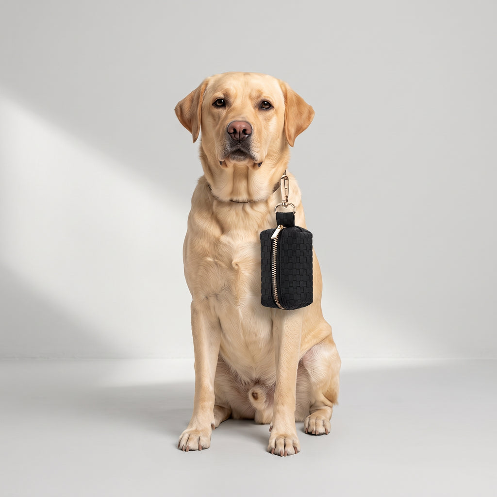 Poop Bag Dispenser with Carabiner Clip with a Labrador, studio photo
