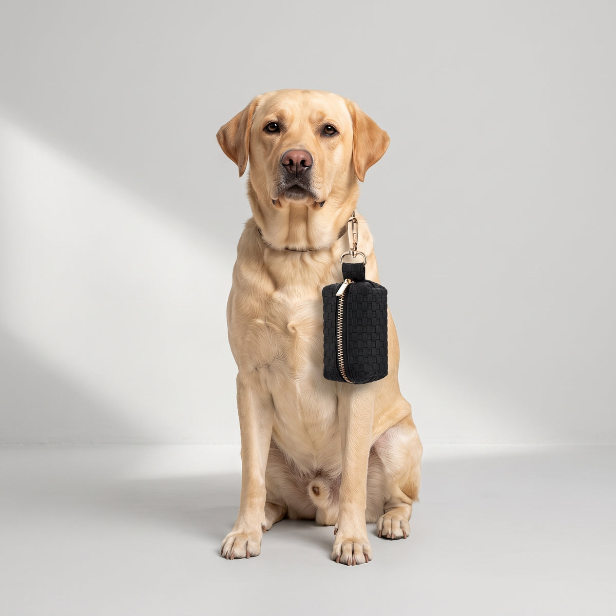 Poop Bag Dispenser with Carabiner Clip with a Labrador, studio photo
