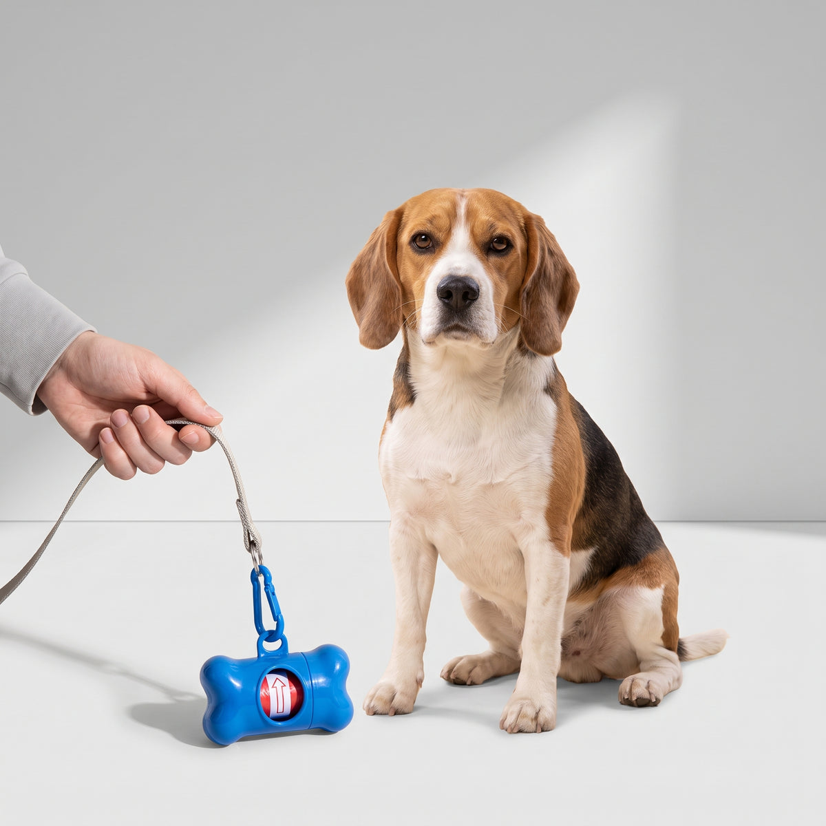 Bone Shaped Poop Bag Dispenser and Waste Bags with a beagle, studio photo