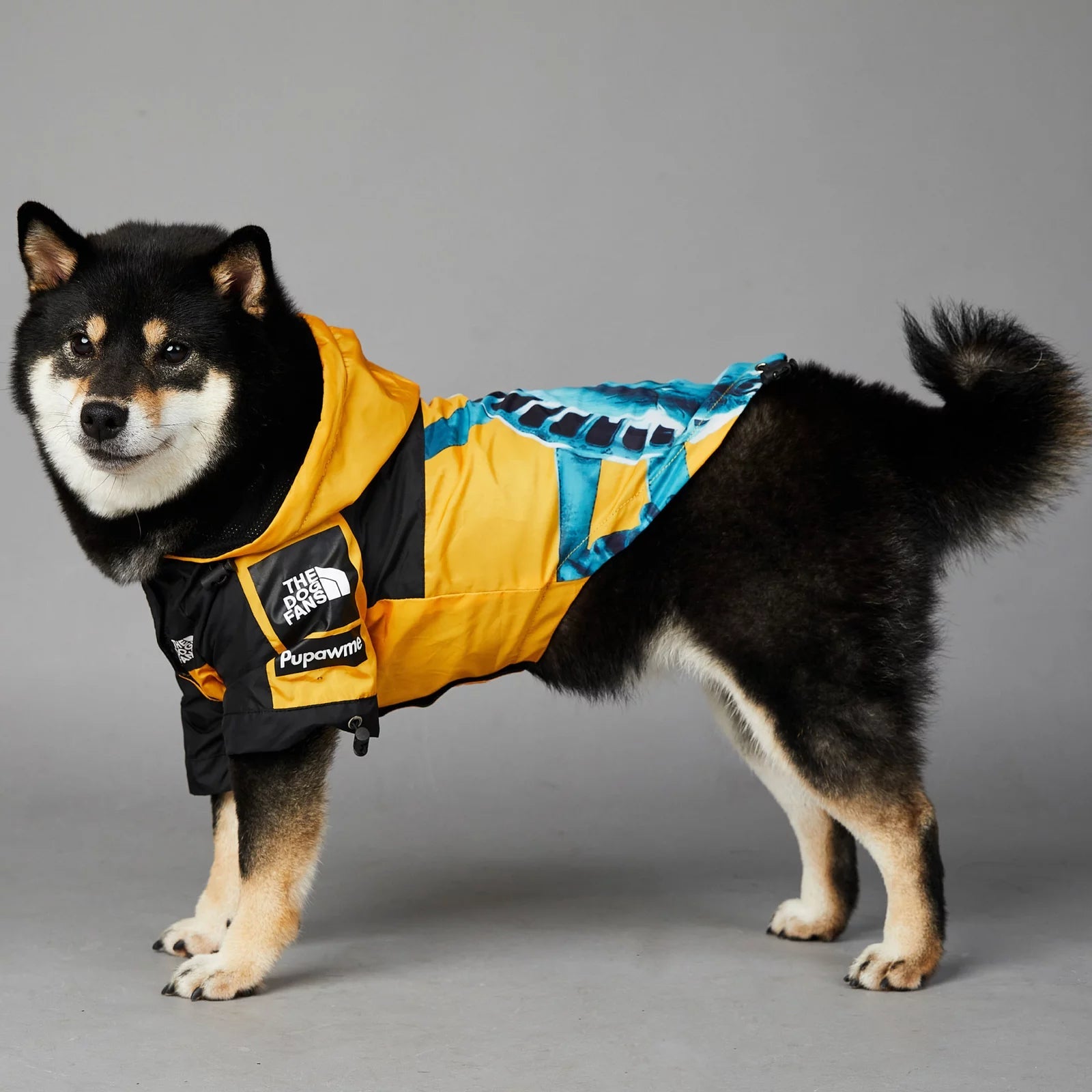 Dog Raincoat｜Liberty