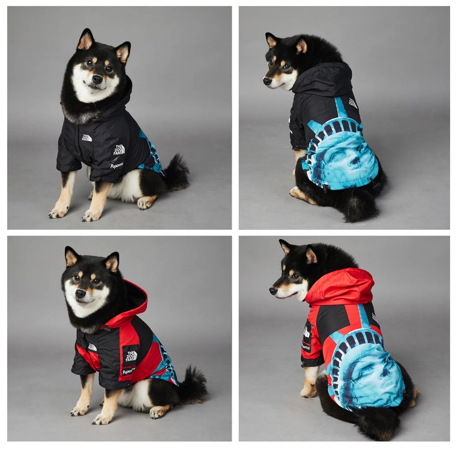 Dog Raincoat｜Liberty