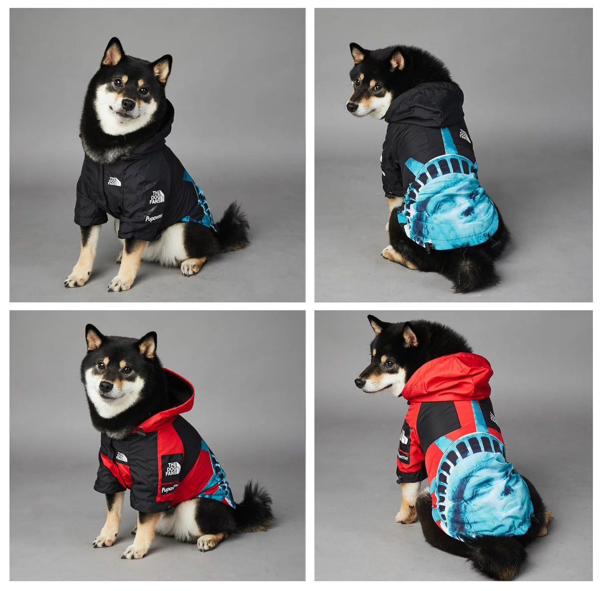 Dog Raincoat｜Liberty
